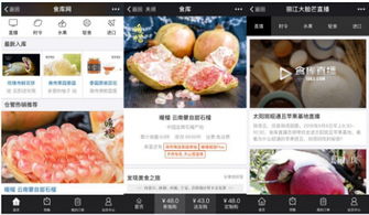 杭州四喜托管可信嗎？事實說話 食庫網農產品基地加工與品牌營銷的領航者