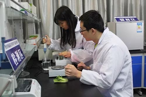 這一年，嚴字當頭 護航舌尖上的安全，食用農產品初加工