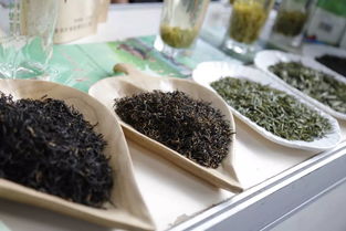 超贊！中山扶貧展銷會圓滿落幕，300余種特色農產品備受青睞，食用農產品初加工成焦點