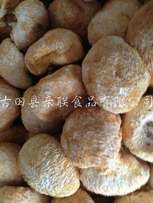 古田縣親聯食品 其他食用菌產品及食用農產品初加工服務概覽