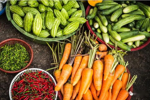 2020關鍵年 探索他國生態循環農業模式，深化食用農產品初加工發展